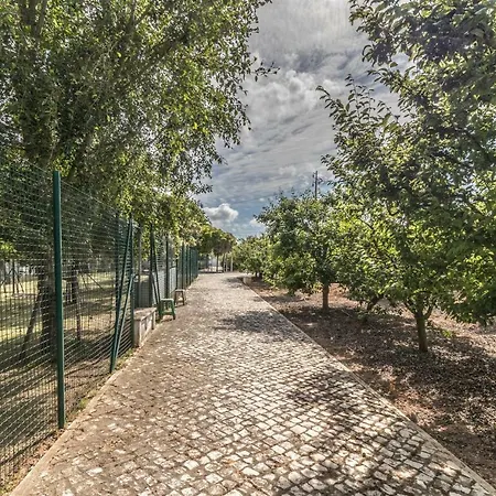 Casal Das Oliveiras - Um Alojamento De Luxo * Alcobaça
