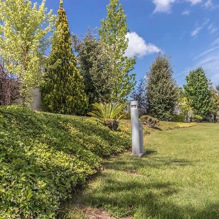 Casal Das Oliveiras - Um Alojamento De Luxo Gasthuis Alcobaça
